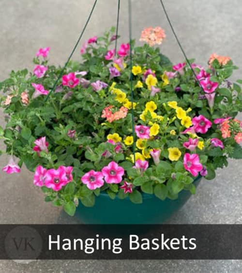 Hanging Baskets