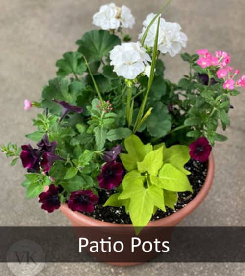 Patio Pots